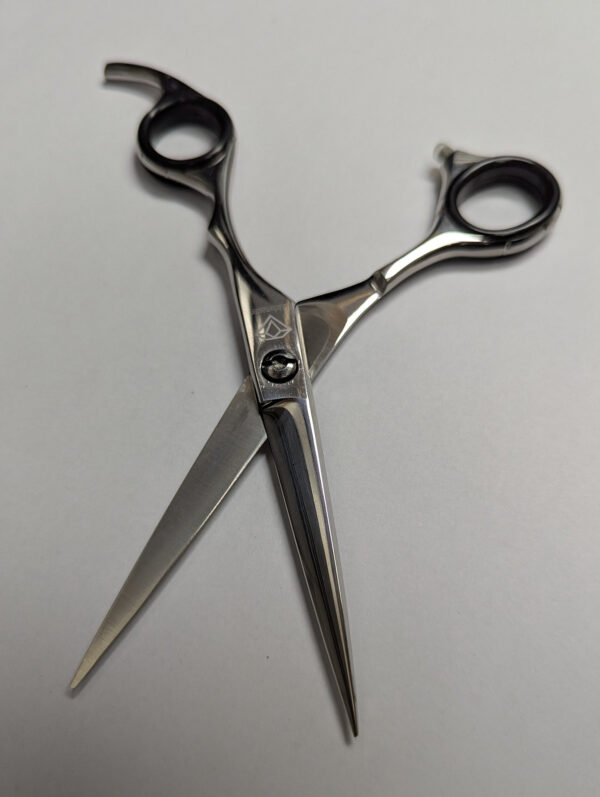 Scissors Stainless